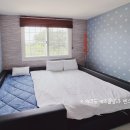 제주도키즈풀빌라빈스 이미지