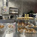 가모스타그램 이미지