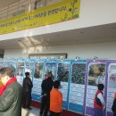 길우지마을 이미지