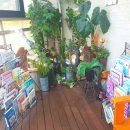 대부도 펜션월드(수까사) 이미지