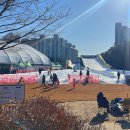 얼음왕국노원공릉36 | 오랜만에 간 학교가 눈썰매장이라니 - 서울과기대 노원구눈썰매장