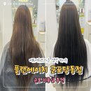 고산로250번길 | 군포 미용실 &lt;플랜에이치 군포당동점&gt; 웨딩염색(매트 애쉬 브라운) 솔직후기 / 예비신부 추천