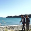 추도민박 이미지