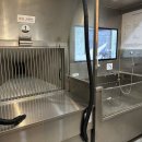 슈슈댕 천안두정점 이미지