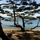 섬사랑펜션민박 이미지