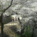 엄광산임도 이미지