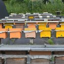 여형구 농장 이미지