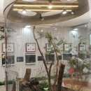 풍뎅이 별관 이미지