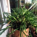 대주농장3 이미지