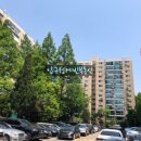 압구정-124 이미지