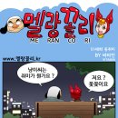 동취 Daum카페