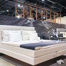 디엠소프트 | 수입 명품 매트리스 침대 브랜드 추천 카르페디엠베드 신세계강남점