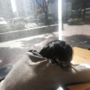 투썸커피숍 앞 이미지