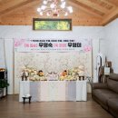 스테이상아 네이버블로그
