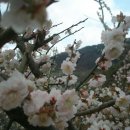 화동공원 이미지