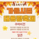 빅마트 안경 이미지