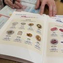 양앤정한의원 | 강남다이어트한의원 간편한 밀감정 체지방 감량