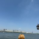 귀빈애견 | 여의도한강공원 탑요트코리아 킨나리호 럭셔리 요트 후기