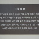 흰돌치과 네이버블로그