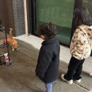 하이키즈풀 상동점 | 대전 근교 유아 키즈펜션 세종 ‘하이키즈풀빌라’ 독채 이용후기