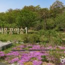 삿갓봉근린공원 티스토리