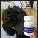 주식회사 우리가제약 이미지