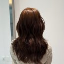(주)서울파마 | 합정역 미용실 추천, 도심합정 주세본원장님 브라운염색부터 레이어드커트 후기