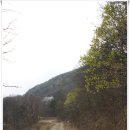 버스정류장 07-499 | [20140405]이천 정개산ㆍ원적산 연계산행 후 이천백사산수유꽃축제 구경하고 걷고싶은 둘레길 걷기 - 4부