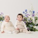 그담스튜디오