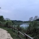 경의중앙선 하부 체육공원 이미지