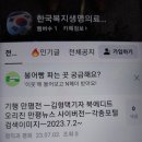 토심방 이미지