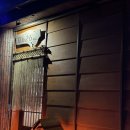 0626 | 제주공항 근처 술집 0626와흘 방문 후기🍶