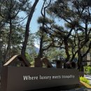 (주)신세계푸드 파라스파라 서울 | [서울 호캉스] 내 인생 최고의 숙소..🥹 안토 서울 후기 | 파인 하우스 히노키 룸 (히노키탕, 수영장...