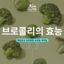 작은나무치과의원 이미지