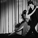 양희은 콘서트 이미지