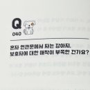 내강아지 이미지