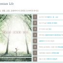 담티고가교 이미지