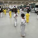 경희대부부태권도체육관 이미지