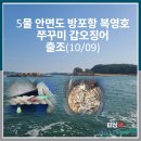 복영호 | 5물 안면도 방포항 복영호 쭈꾸미 갑오징어 출조(10/09)