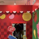 명은카프라자 | 푸동국제공항, 킹타운상하이리버사이드, 헤이티, 인민광장(미니소, 팝마트, 치이카와, 산리오), 와이탄...