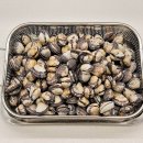 역전꼬막 | 벌교꼬막 새꼬막 참꼬막 벌교가볼만한곳 역전꼬막 후기