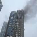 탄벌동-17 이미지