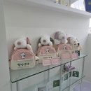 딩동댕댕 애견유치원 | 수원 애견호텔 어디가 좋을까? 수원 애견유치원 웰컴댕댕 데이케어 솔직후기