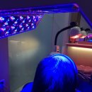 제트피바이오 | 신도림두피관리 탈모 EPN관리 탑스칼프 구로디지털점