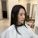 커트라인미용실 | 청담동 미용실 커트잘하는미용실 커티즘바이 후기