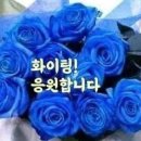 수원올림픽공원 Daum카페