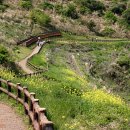 공지쉼터 이미지