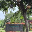 리버호텔 | [다낭/호이안 숙소] 호이안 리버타운호텔 내돈내산 솔직후기 (셔틀, 수영장)