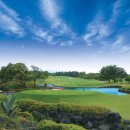 크라운CC 이미지