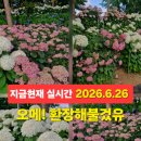유구농업협동조합 하나로마트